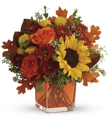 Autumn Sunshine Cube from Olney's Flowers of Rome in Rome, NY
